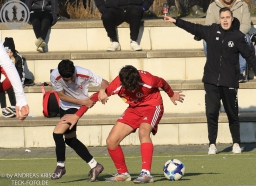 TSV Weilheim B-Junioren vs Normania Gmünd II (22.11.2025)
