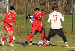 TSV Weilheim B-Junioren vs Normania Gmünd II (22.11.2025)
