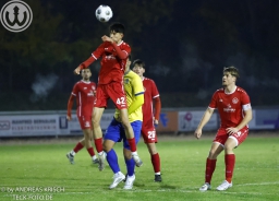 TSV Weilheim - TSV Oberboihingen (Pokal) // 6.11.2025 (3:0)