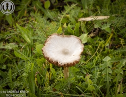 TSV Weilheim C-Junioren vs SG Ditzenbach/Gosbach