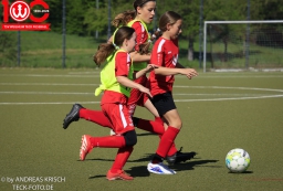 TSV Weilheim D-Juniorinnen vs. TSV Deizisau (2. Mai 2026 · 0:1)