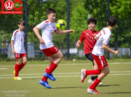 TSV Weilheim D-Junioren vs TSV Wernau (2. Mai 2026 · 2:1)