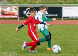 TSV Weilheim E2-Junioren vs. SGM Neckartenzlingen u. a.