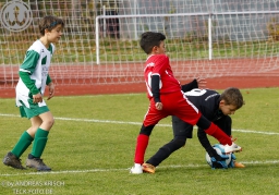 TSV Weilheim E2-Junioren vs. SGM Neckartenzlingen u. a.