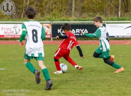 TSV Weilheim E2-Junioren vs. SGM Neckartenzlingen u. a.