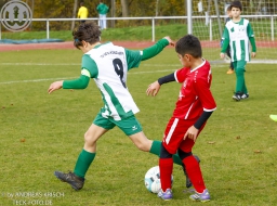 TSV Weilheim E2-Junioren vs. SGM Neckartenzlingen u. a.