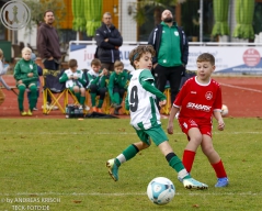 TSV Weilheim E2-Junioren vs. SGM Neckartenzlingen u. a.