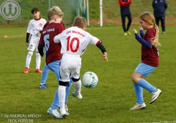 TSV Weilheim E3-Junioren vs Neuffen Täle (8.11.2025)