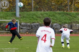 TSV Weilheim E3-Junioren vs Neuffen Täle (8.11.2025)