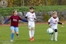 TSV Weilheim E3-Junioren vs Neuffen Täle (8.11.2025)