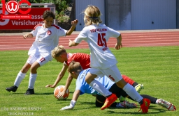 Jubiläumsspiel · TSV Weilheim E-Junioren vs FC Heidenheim · 4.7.2026