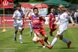 Jubiläumsspiel · TSV Weilheim E-Junioren vs FC Heidenheim · 4.7.2026