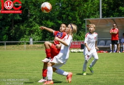 Jubiläumsspiel · TSV Weilheim E-Junioren vs FC Heidenheim · 4.7.2026