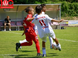 Jubiläumsspiel · TSV Weilheim E-Junioren vs FC Heidenheim · 4.7.2026