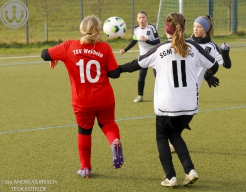 TSV Weilheim E-Juniorinnen vs SGM Reichenbach (22.11.2025)