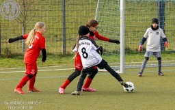 TSV Weilheim E-Juniorinnen vs SGM Reichenbach (22.11.2025)