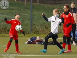 TSV Weilheim E-Juniorinnen vs SGM Reichenbach (22.11.2025)
