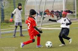 TSV Weilheim E-Juniorinnen vs SGM Reichenbach (22.11.2025)