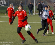TSV Weilheim E-Juniorinnen vs SGM Reichenbach (22.11.2025)