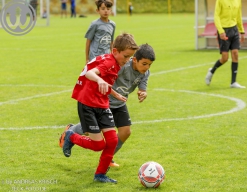 F-Junioren Turnier am 13. Juli 2024