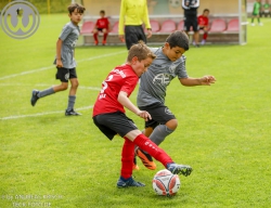 F-Junioren Turnier am 13. Juli 2024
