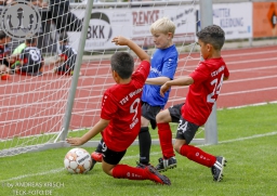 F-Junioren Turnier am 13. Juli 2024