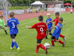 F-Junioren Turnier am 13. Juli 2024