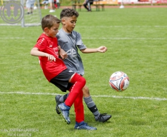 F-Junioren Turnier am 13. Juli 2024