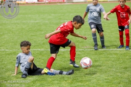 F-Junioren Turnier am 13. Juli 2024