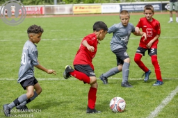 F-Junioren Turnier am 13. Juli 2024