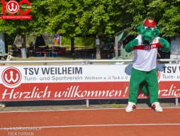 Rewe Seper Cup 2026 der Bambinis