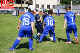 Rewe Seper Cup 2026 der Bambinis