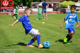 Rewe Seper Cup 2026 der Bambinis