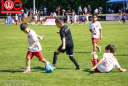 Rewe Seper Cup 2026 der Bambinis