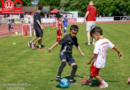 Rewe Seper Cup 2026 der Bambinis