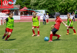 Rewe Seper Cup 2026 der Bambinis