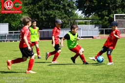 Rewe Seper Cup 2026 der Bambinis