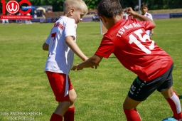Rewe Seper Cup 2026 der Bambinis
