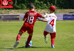 Rewe Seper Cup 2026 der Bambinis