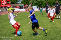 Rewe Seper Cup 2026 der Bambinis