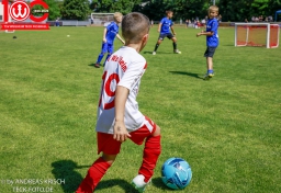 Rewe Seper Cup 2026 der Bambinis