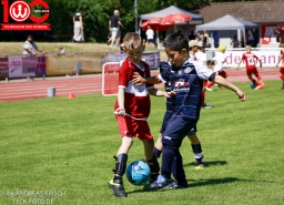 Rewe Seper Cup 2026 der Bambinis