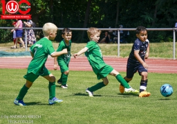 Rewe Seper Cup 2026 der Bambinis