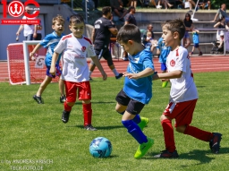 Rewe Seper Cup 2026 der Bambinis