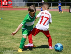 Rewe Seper Cup 2026 der Bambinis