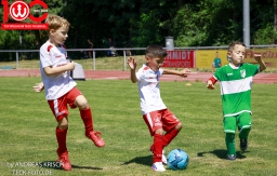 Rewe Seper Cup 2026 der Bambinis