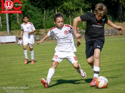 Rewe Seper Cup 2026 der D-Junioren (11.7.2026)