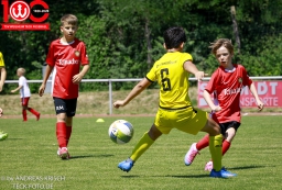 Rewe Seper Cup 2026 der E-Junioren