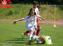 Rewe Seper Cup 2026 der E-Junioren
