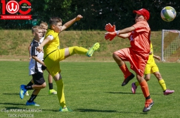 Rewe Seper Cup 2026 der E-Junioren